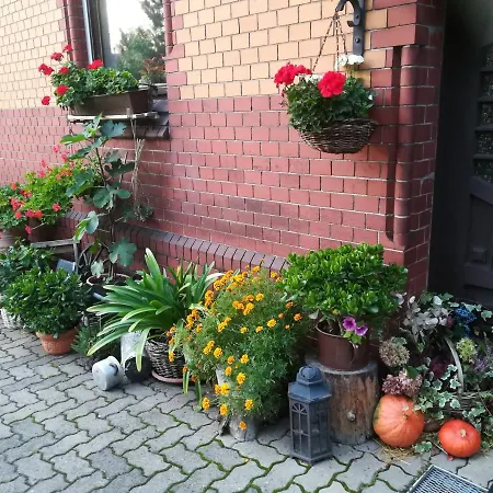 Hellriegel * Weisswasser