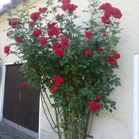 Hellriegel Apartmán