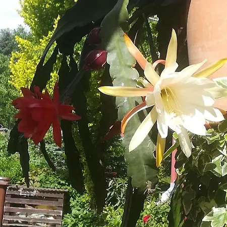 Hellriegel Appartement