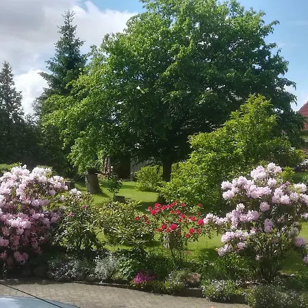 Hellriegel Weisswasser