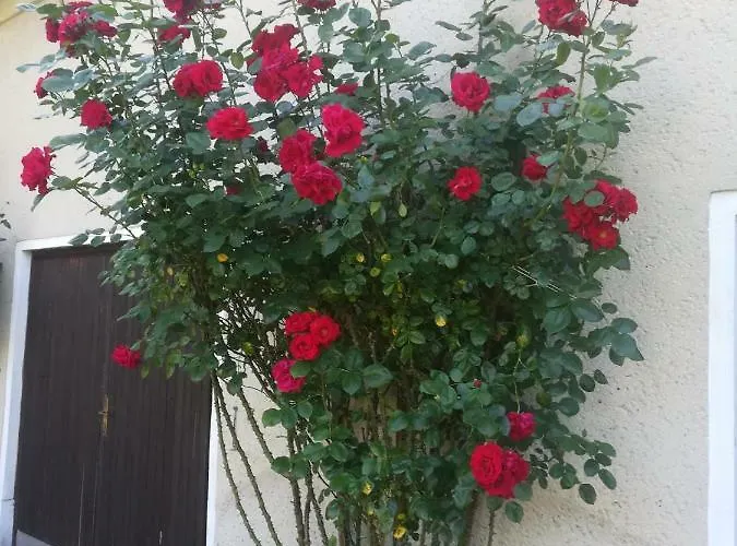 Hellriegel Apartment