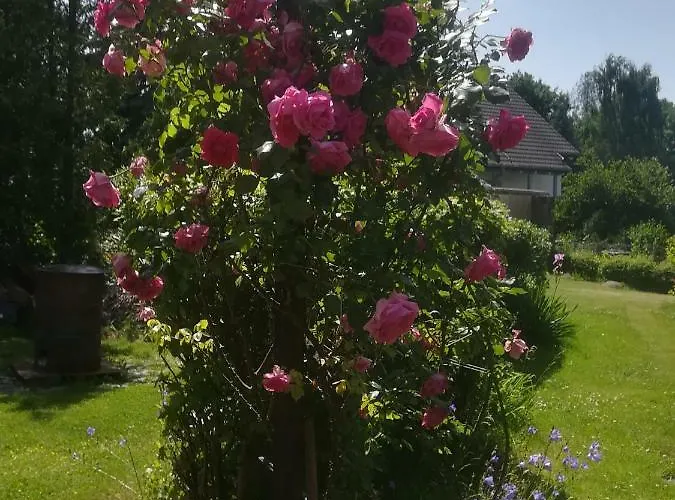 Apartment Hellriegel *