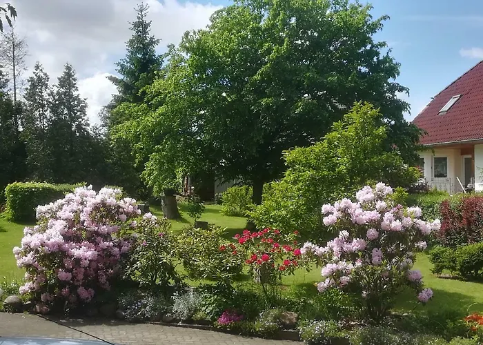 Hellriegel Weisswasser